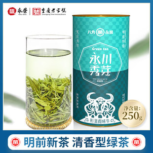 二丑2024新茶叶(新茶叶)绿茶永川秀芽茶，特级明前春茶正宗重庆永荣茶厂