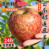 云南昭通丑苹果冰糖心苹果新鲜水果当季整箱10斤大凉山苹果