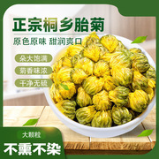 新贡菊菊花茶特级胎菊500g桐乡胎菊花茶杭白菊花茶胎菊王