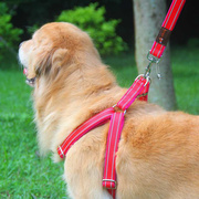 结实狗狗链子狗牵引绳胸背带遛狗，绳子萨摩金毛，中大型犬宠物用品