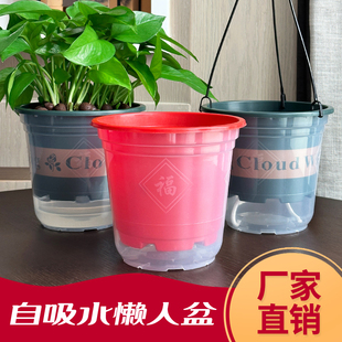 懒人花盆自动吸水白色塑料，水培吊兰绿萝花盆，家用透明营养土专用