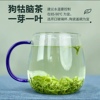 2024新茶江西遂川狗牯脑茶叶，珍品明前春茶，浓香绿茶250g罐装