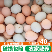 葡萄园散养土鸡蛋新鲜孕妇月子蛋初生农家草鸡蛋正宗柴鸡蛋40枚装