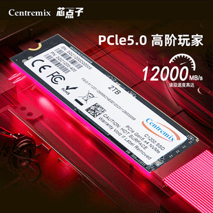 芯点子 C1200 2T PCIe5.0 M.2笔记本电脑台式机SSD m2固态硬盘2TB