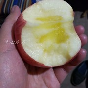 甘肃苹果 庆阳苹果 小苹果 红富士 宝宝水果脆甜非陕西烟台
