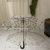 出日本可爱猫咪透明雨伞 轻量长柄小清新便携自动学生网红街拍伞