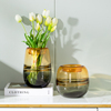 美式玻璃花瓶透明水养鲜花插花器干花装饰品摆设现代简约客厅摆件