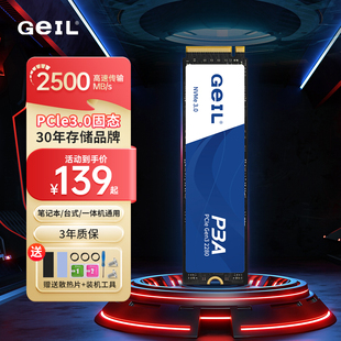 GeIL金邦P3A固态1T硬盘500G250G台式机电脑SSD笔记本NVMEM2游戏