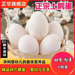 6枚农家散养土鹅蛋新鲜孕妇正宗鹅蛋非双黄鲜鹅蛋