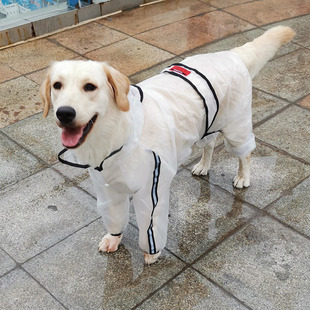 狗狗四脚透明雨衣泰迪金毛柴犬哈士奇小中大型犬，宠物雨天防水衣服
