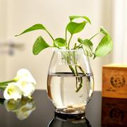 绿萝水培玻璃花瓶，简约透明大号水养植物，器皿摆件客厅插花富贵竹