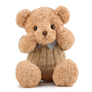 抱抱宝贝泰迪熊毛绒玩具熊公仔(熊，公仔)布娃娃女生睡觉抱抱熊玩偶生日礼物