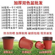 双色盆育苗盆多肉种植盆大号营养钵育苗盆一次性塑料加厚简约花盆
