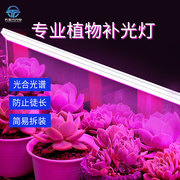 全光谱LED多肉植物生长补光灯家用绿植上色防太阳育苗灯带