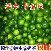 海南小金桔水果新鲜小青桔奶茶店专用一级果柠檬5斤泡水