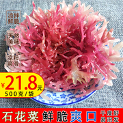 新鲜石花菜500g麒麟菜珊瑚，草海藻龙须菜，海石花海冻菜红藻干货