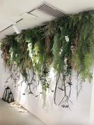 仿真绿植壁挂垂吊藤条绿色植物吊兰波斯蕨类墙壁管道吊顶门头装饰