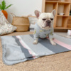 狗毛毯宠物毯子四季通用狗垫猫窝空调被沙发垫防脏绒质法斗泰迪毯