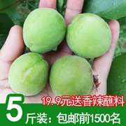 青杏酸杏子新鲜水果山西农家，时令孕妇应季绿杏酸果杏5斤