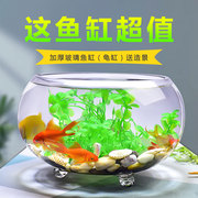 办公室小鱼缸加厚透明玻璃乌龟缸客厅，创意家用桌面圆形，小型金鱼缸(金鱼缸)