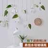 水培玻璃花瓶透明植物花盆壁挂创意diy墙上装饰悬挂小吊瓶小清新