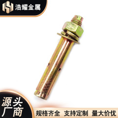 带孔蓬胀螺丝 彩锌蓬胀螺丝膨胀螺丝 J带孔膨胀螺丝拉爆膨胀螺丝