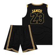 詹姆斯6号刺绣球衣球裤套装湖人队23号篮球服训练服定制背心球服