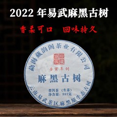2022年易武麻黑头春古树普洱生茶饼云南普洱茶七子饼茶357克