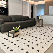 地毯客厅新西兰进口羊毛黑石公寓法式现代轻奢高级感沙发茶几毯