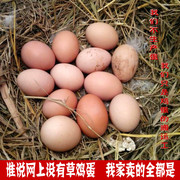农家土鸡蛋散养草鸡蛋40枚农村自养新鲜月子蛋柴鸡蛋本笨鸡蛋整箱