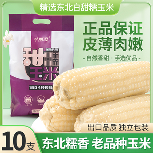 东北白糯黏香甜玉米新鲜玉米棒非即食玉米250*10根非转基因玉米