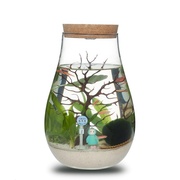 定制生态瓶鱼虾螺办公室桌面迷你水族箱小型生态鱼缸微景观微景缸