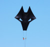 潍坊狼头图腾风筝成人大型伞布碳杆抗风三角风筝专业高档易飞