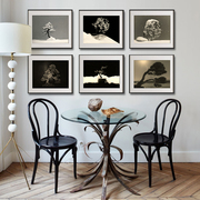 现代小众植物树木黑白艺术，摄影侘寂风，客厅软装饰画工作室展厅挂画