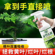 免稀释文竹专用营养液肥料，家用盆栽植物，液体肥室内养花绿植通用型