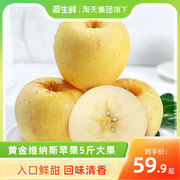 黄金维纳斯苹果5斤装大果新鲜水果当季新鲜采摘整箱
