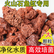 火山石鱼缸造景装饰乌龟缸底砂古法养鱼专用石头滤材水草泥火山岩