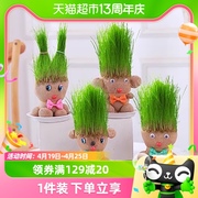 创意长草娃娃小盆栽草头娃娃，好养桌面绿植，礼物水培儿童种植小植物