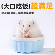仓鼠喂食盆金丝熊布丁饭碗小碟子陶瓷厚重防翻大容量碗花枝鼠用品