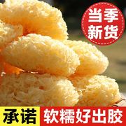 古田特级银耳干货500g野生椴木白木耳本草雪耳羹燕窝冻干冲泡即食