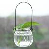 生态瓶4只装水培玻璃瓶瓜插花小吊瓶送绿植物盆吊盆花盆花器花瓶