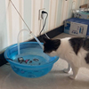 水泵小型猫咪喝水流水泵，鱼缸过滤器循环潜水泵静音直流吸水抽水泵