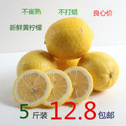 四川安岳柠檬新鲜青黄，柠檬5斤丑果二三级丑柠檬榨汁皮薄汁多