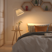 茶几落地灯实木客厅卧室，床头灯创意北欧遥控沙发，落地台灯简约原木