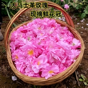 今年新鲜大马士革玫瑰花4斤鲜花 现摘不是腌制纯露原料