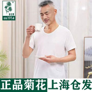 2件上海菊花牌老头衫，男纯棉打底背心全棉，中老年跨栏内衣汗衫