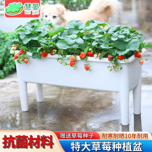 高脚阳台专用种菜盆架特大家用塑料花盆西瓜户外蔬菜长方形种植箱