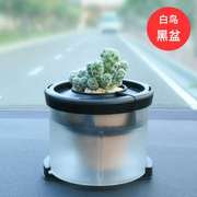 汽车植物摆件车载氧吧车栽真花绿植养花器车内空气净化器吸甲