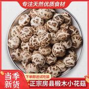 神农架花菇房县小花菇香菇干货500g冬菇，2.2cm椴木蘑菇土特产