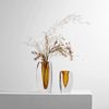 现代家居摆饰玻璃花瓶样板间轻奢摆件餐桌装饰品客厅透明花器插花